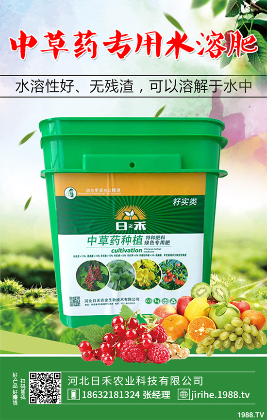 射干該怎么種植？中藥材射干的種植技術(shù)要點