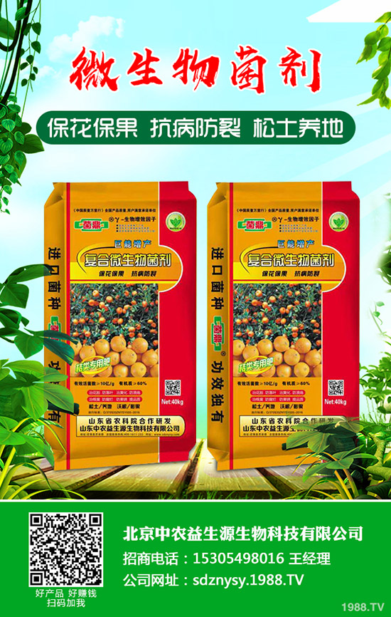     如今磷肥供應(yīng)過(guò)剩！今日最新磷肥價(jià)格行情走勢(shì)預(yù)測(cè)2020-4-11