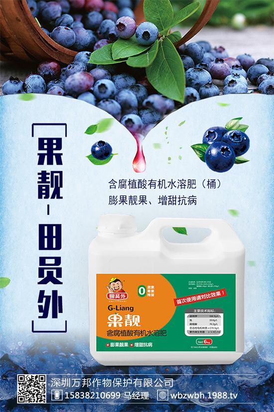 太子參的市場(chǎng)前景如何？2020太子參種植的效益分析