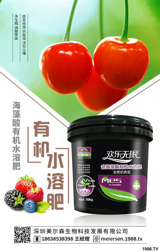 楊梅的品種有哪些？該如何栽培？春季楊梅種植技術(shù)