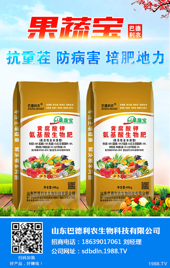     2020年4月11日復(fù)合肥開始小幅下調(diào)價(jià)格！最新行情走勢(shì)綜合分析！