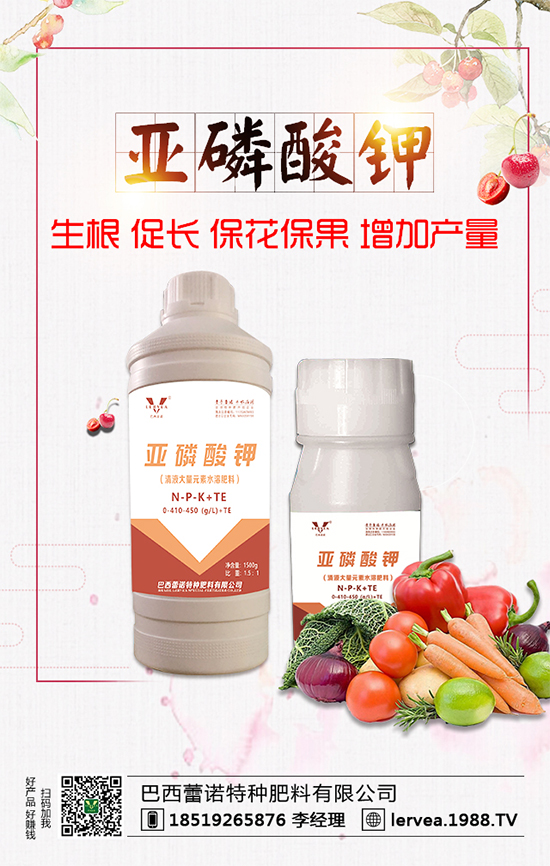 作物缺鉀有什么危害？鉀肥有什么作用？鉀肥種類選擇！