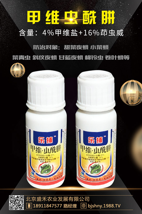 小麥紅蜘蛛的發(fā)生規(guī)律有哪些？小麥紅蜘蛛防治措施！