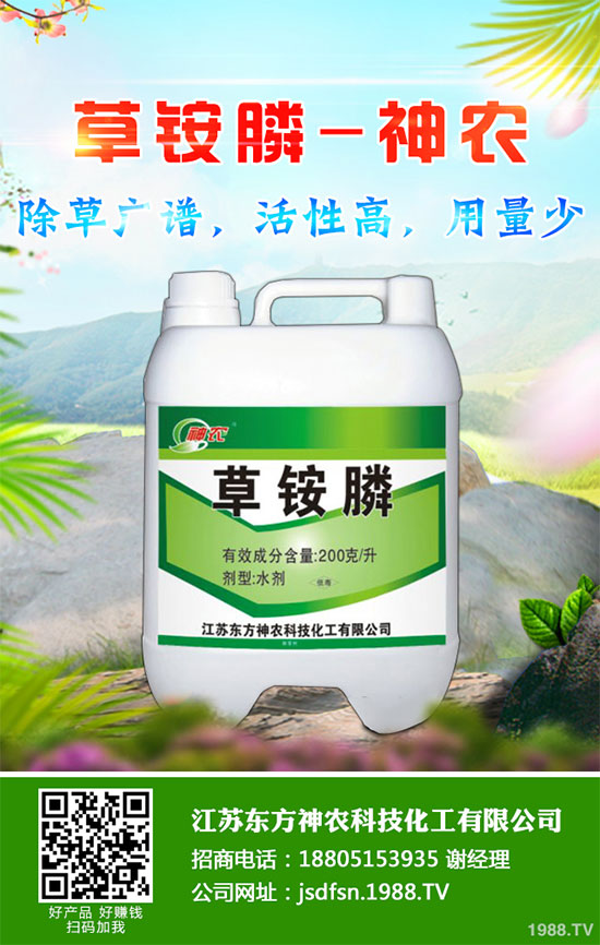 蒲公英種植如何實(shí)現(xiàn)高產(chǎn)？種植蒲公英效益如何呢？