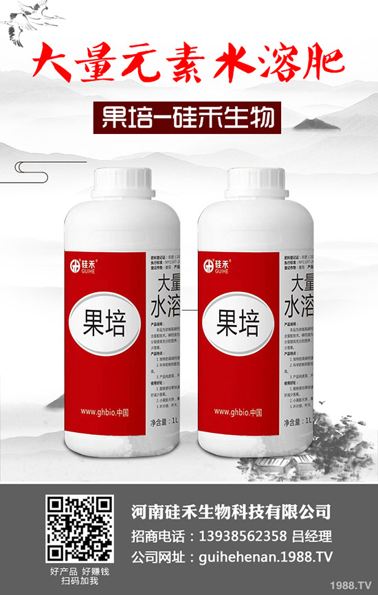 南瓜種植管理都有哪些方法?南瓜如何科學(xué)管理?