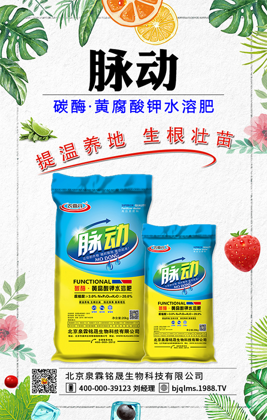 蒲公英藥用價(jià)值有哪些？蒲公英作用及功效！