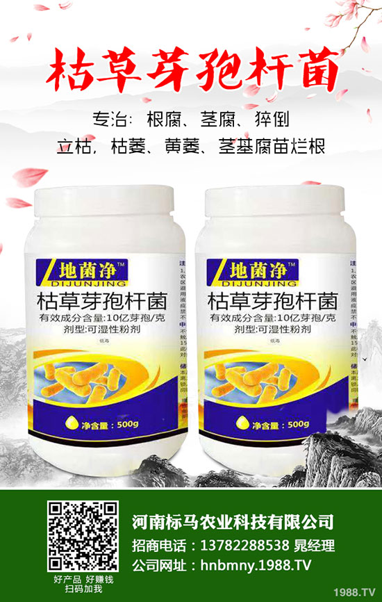 茄子想高產(chǎn)，整枝修葉是關(guān)鍵！茄子整枝修葉原則及方法介紹！