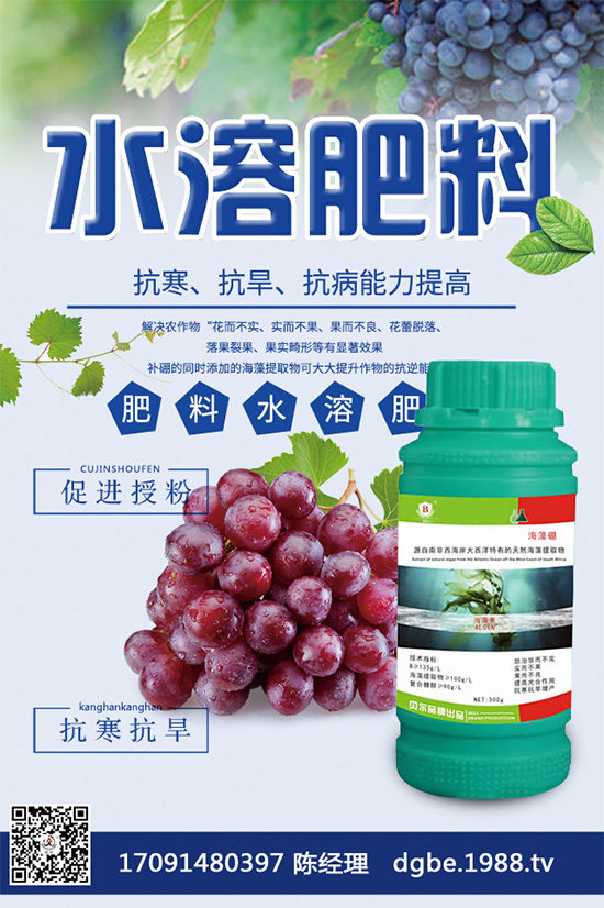 露地西瓜該如何育苗？春季露地西瓜高產(chǎn)栽培技術(shù)