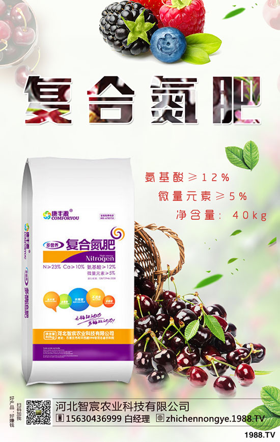 精品芒果種植技巧，施肥很關(guān)鍵！