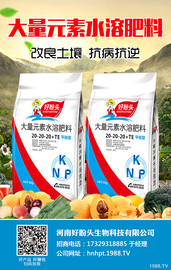 西蘭花什么時(shí)間種植？西蘭花田間如何管理？