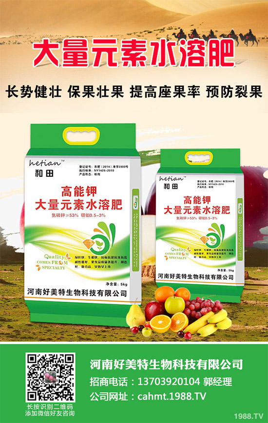 細(xì)香蔥如何種植才能高產(chǎn)？需要注意什么？這五個(gè)小技巧分享一下！