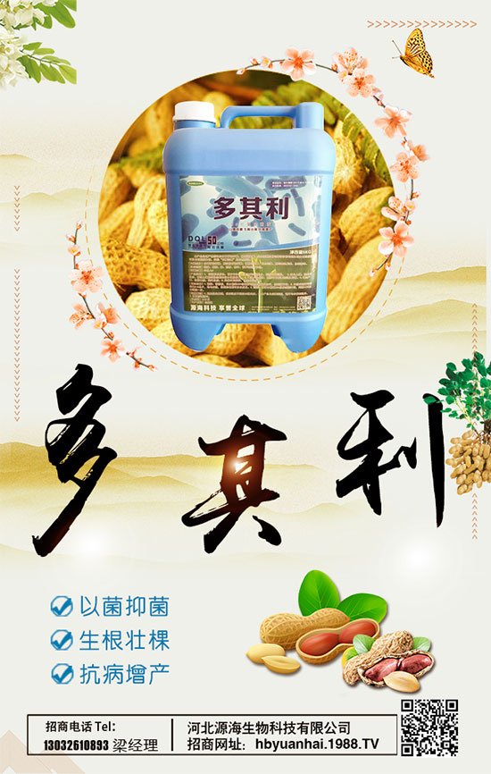 洋蔥什么時間種植好？洋蔥種植想高產(chǎn)怎么種植？