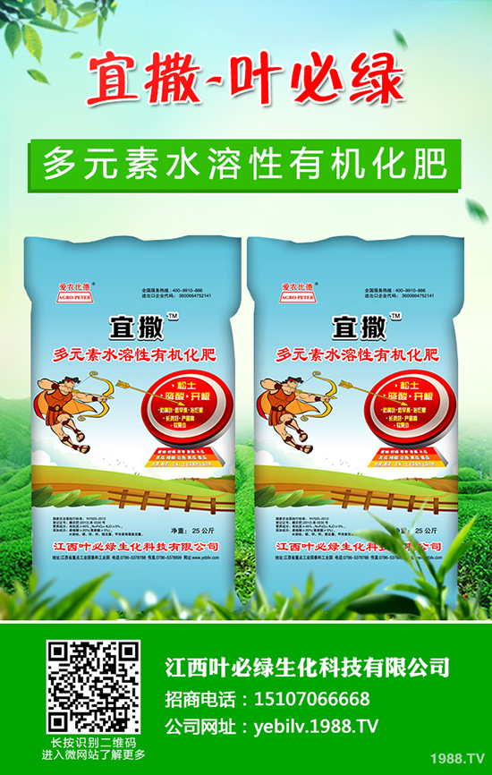 葫蘆種子怎么種 葫蘆種子催芽方法有哪些？