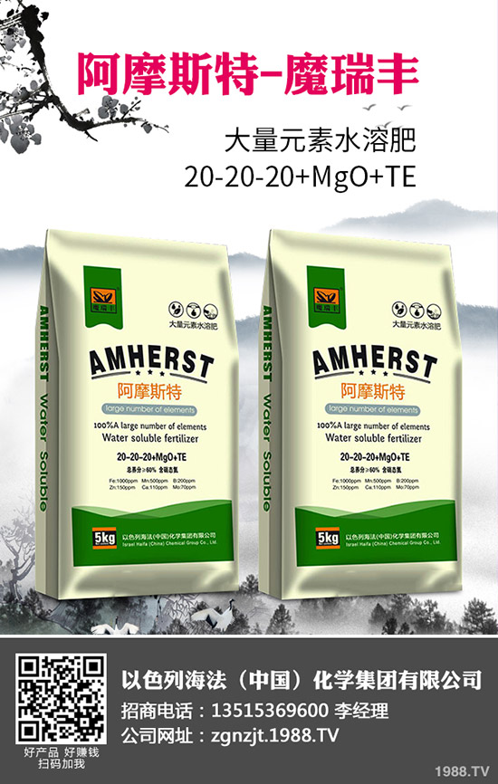 2020年春玉米什么時間播種？春玉米種植技術