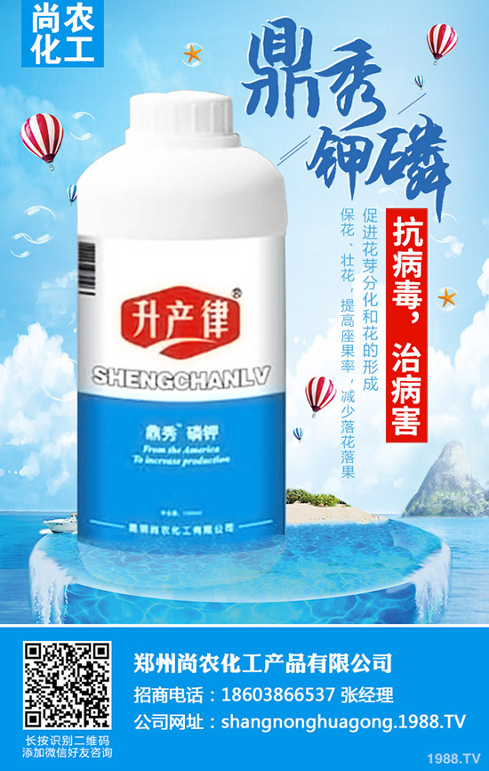     甘藍(lán)不結(jié)球怎么辦，甘藍(lán)不結(jié)球原因及防治措施！