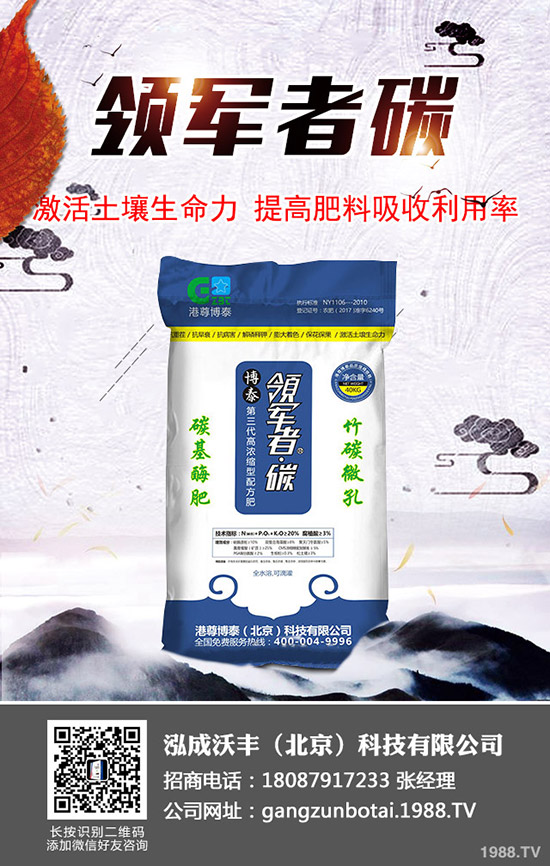 大棚土豆種植更高溫度多少？大棚馬鈴薯如何種植效益高？