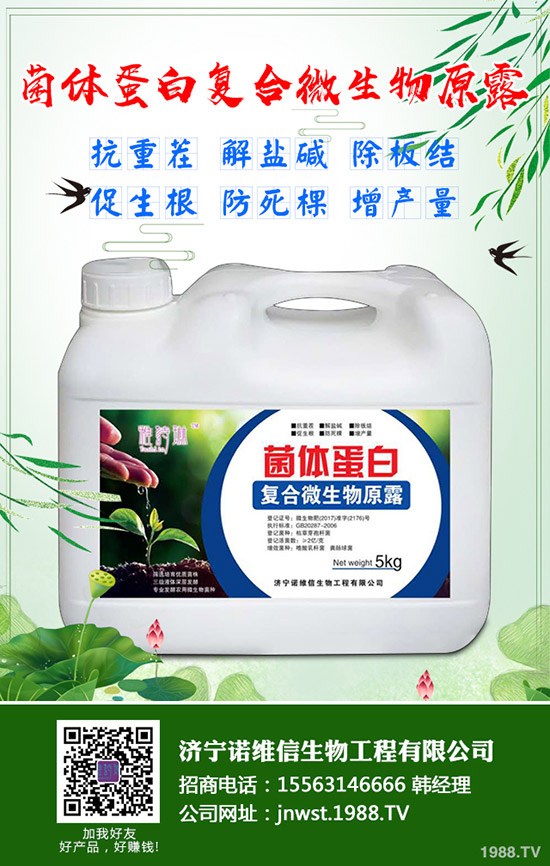 大豆施用硼肥有哪些好處？大豆施用硼肥的技術(shù)！