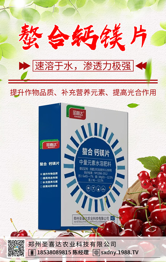 油麥菜該如何育苗？油麥菜的高產(chǎn)栽培管理技術(shù)