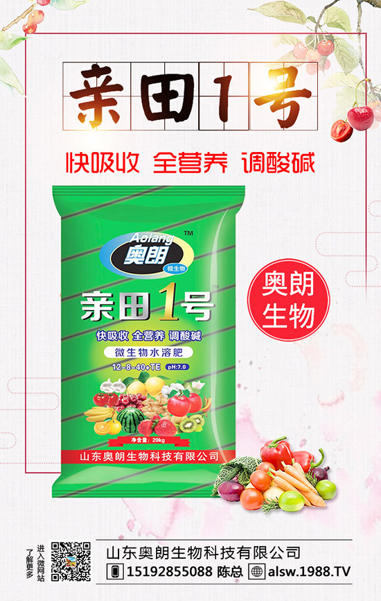  蘆筍種子處理及育苗技術(shù)，蘆筍定植后要如何管理？