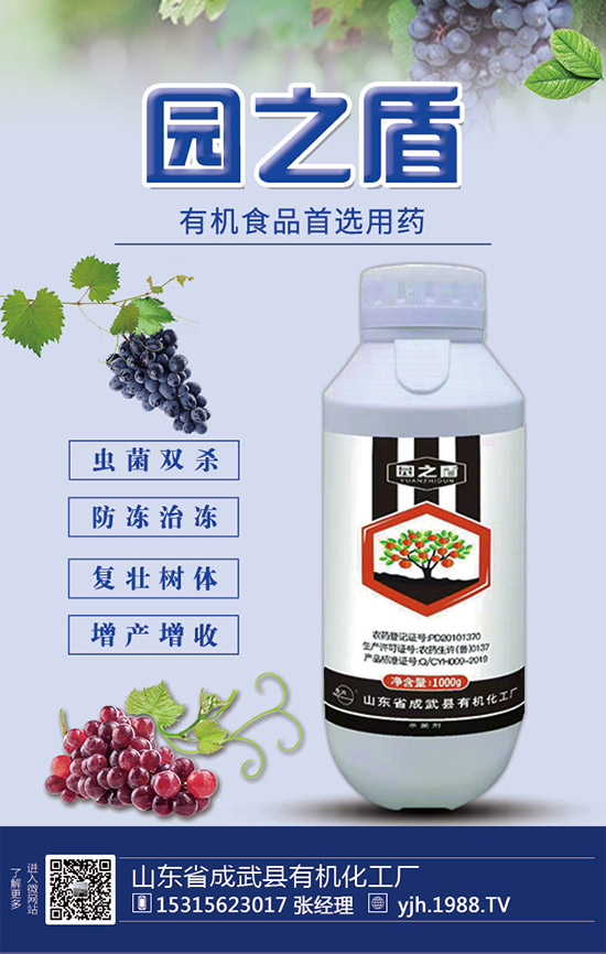 蘆筍如何施肥？蘆筍用什么肥料好？蘆筍需肥特點及注意事項！