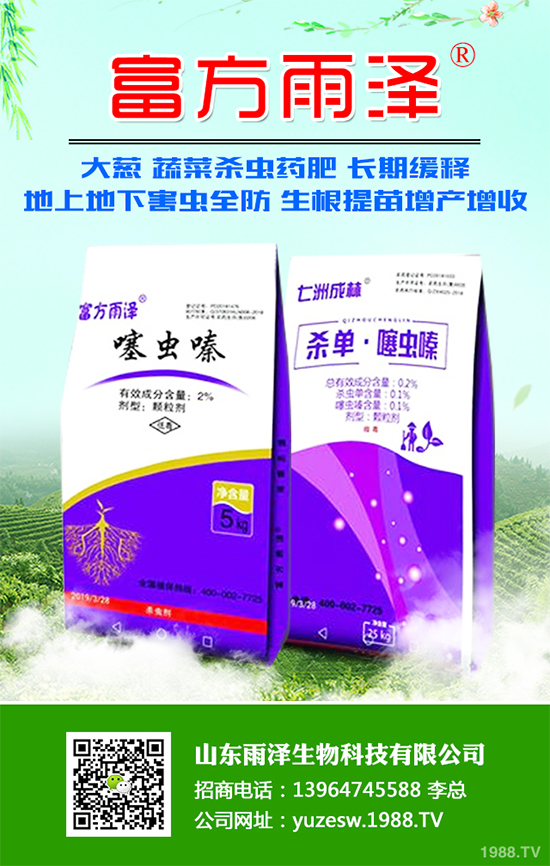 秋葵什么時間種植？秋葵種植生長環(huán)境及整枝技術(shù)！