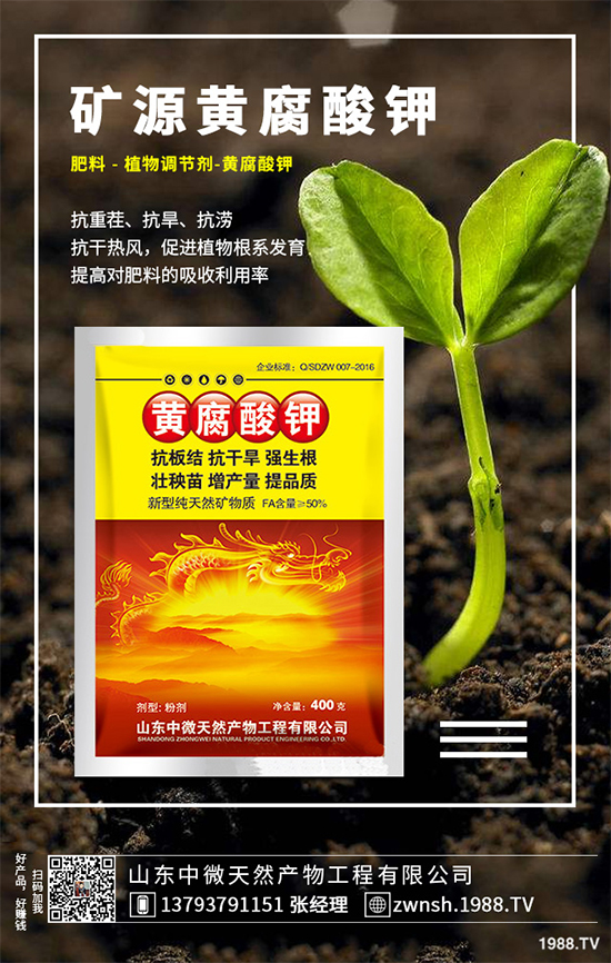 吳茱萸該如何繁殖？吳茱萸的繁殖技術(shù)栽培管理