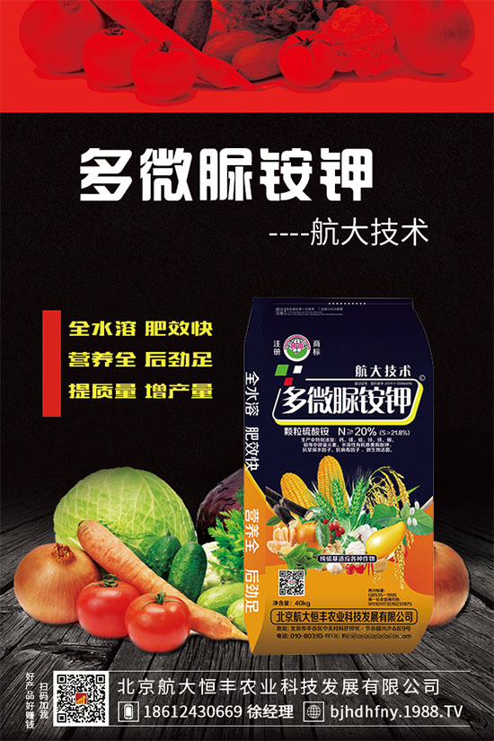 三七種子怎么種植？三七功效與作用有哪些？