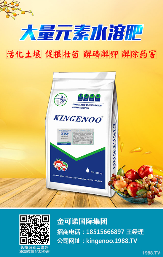 種植油茶能掙錢嗎？2020年油茶樹種植前景及效益分析