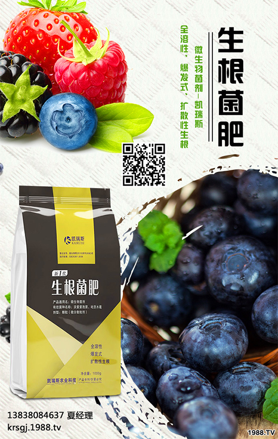     油茶屬茶科，常綠小喬木。茶油色清味香，營養(yǎng)豐富，耐貯藏，是優(yōu)質(zhì)食用油 ；也可作為潤滑油、防銹油用于工業(yè)。近年來我國各地油茶產(chǎn)區(qū)政府紛紛鼓勵種植油茶。那么，油茶種植到底有哪些優(yōu)勢呢？