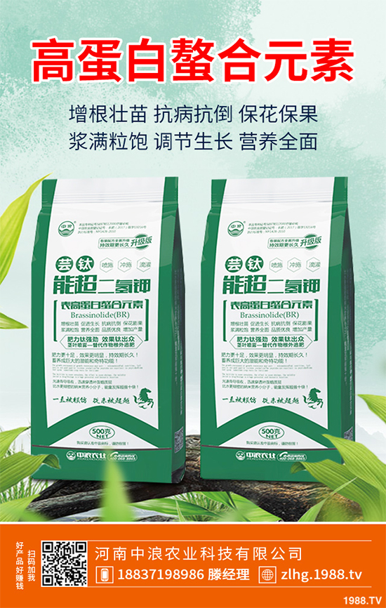 山楂什么時(shí)候種植？山楂樹高產(chǎn)種植方案