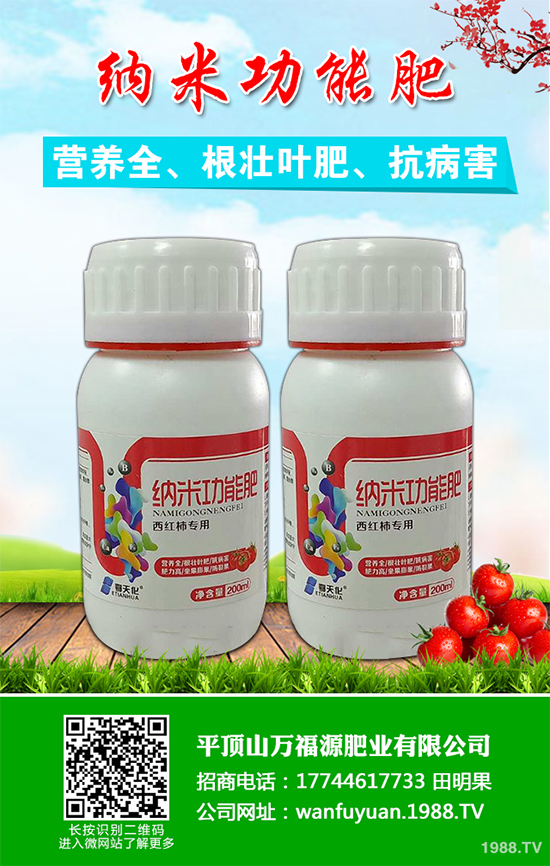 水蜜桃該如何種植？五步教你輕松種出肉厚多汁水蜜桃！