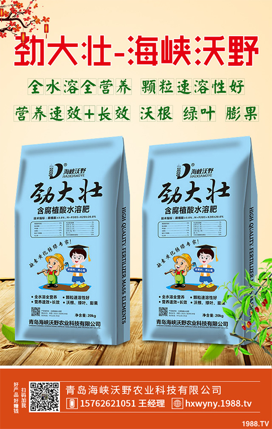 2020年黃精種植前景如何？如何種植才能獲得更高的經(jīng)濟(jì)收入？