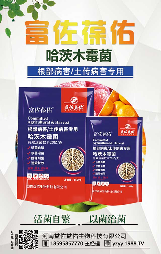 芋頭都有什么營養(yǎng)價值？吃芋頭有什么好處？