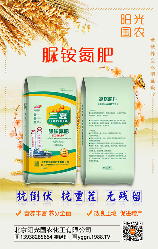 白掌怎么養(yǎng)殖好？水培白掌需要多久才能換水？