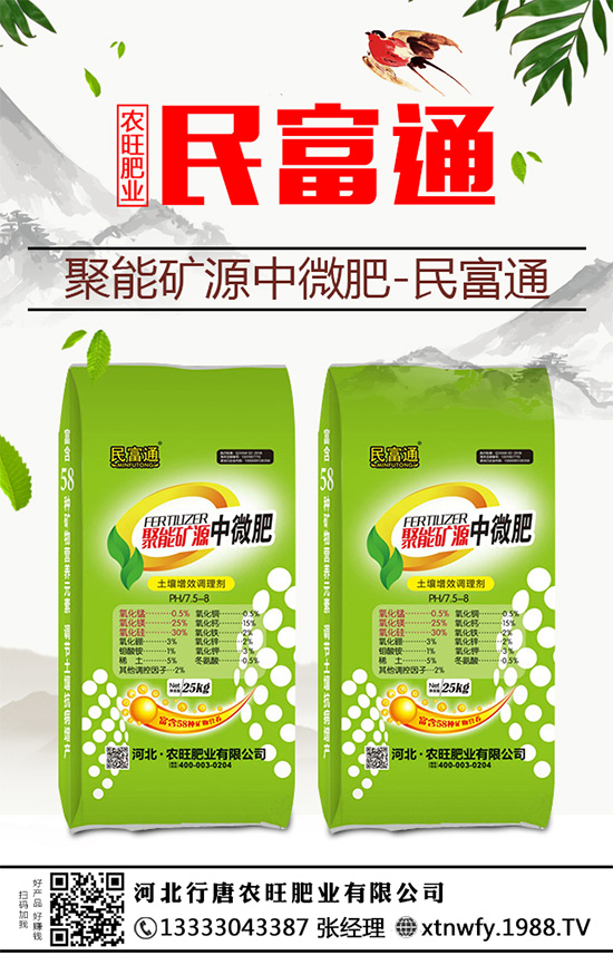 生姜重茬種植危害大，到底是如何引起的？該與哪些作物輪作呢？