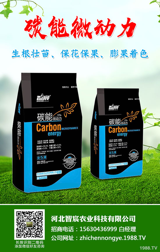 5月國(guó)內(nèi)磷肥市場(chǎng)何去何從？最新一銨二銨價(jià)格行情走勢(shì)預(yù)測(cè)！