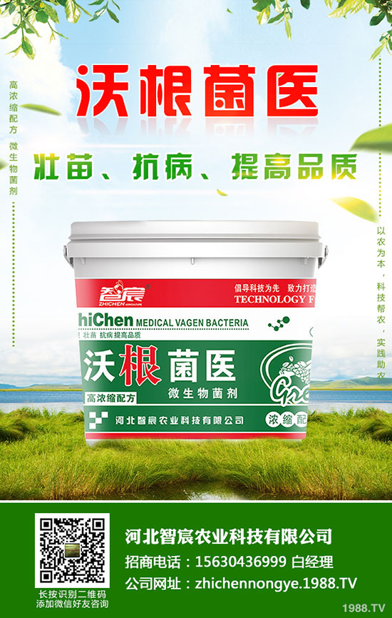 鉀肥價(jià)格整體偏低運(yùn)行！最新鉀肥行情分析2020-5-15！