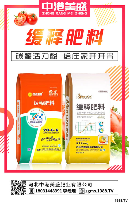 葛根種植多久可以收獲？種植葛根一畝有多少利潤(rùn)？