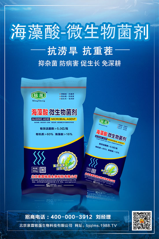     黃瓜的中后期管理技術(shù)，黃瓜后期肥水怎么管理？