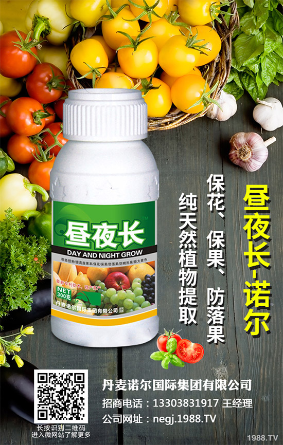 夏芹菜什么時(shí)候種植？該如何種植？夏芹菜高產(chǎn)種植技術(shù)