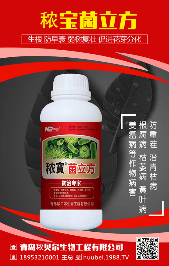 葫蘆怎么播種方法？葫蘆的播種方法及生長過程！