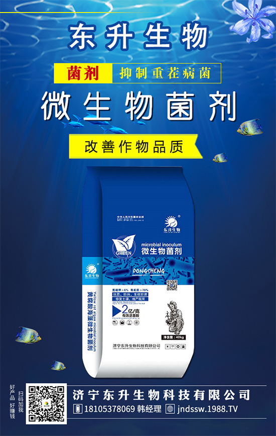 白掌的花語是什么？水培白掌的的養(yǎng)護(hù)方法！