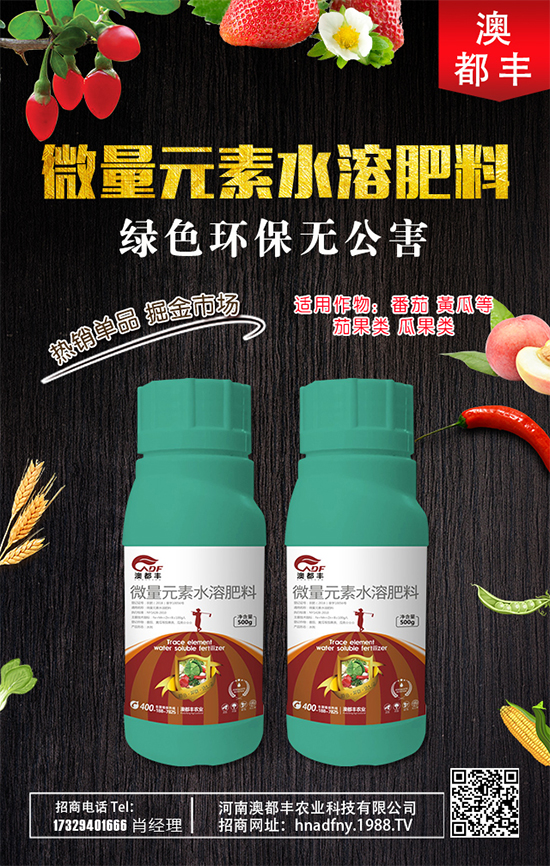 甜瓜什么時間種植好？甜瓜種植技術(shù)要點！