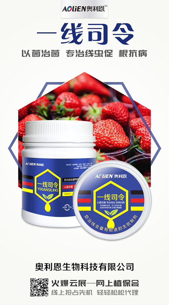 香瓜育苗期的水肥管理，香瓜施肥的注意事項(xiàng)！