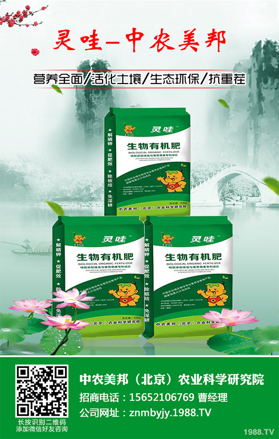 甘蔗常見病害有哪些？該如何預(yù)防？甘蔗病害的發(fā)生與防治！