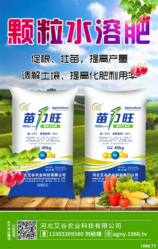 黑番茄有哪些營(yíng)養(yǎng)價(jià)值？功效作用有哪些？黑番茄的功效作用及種植前景