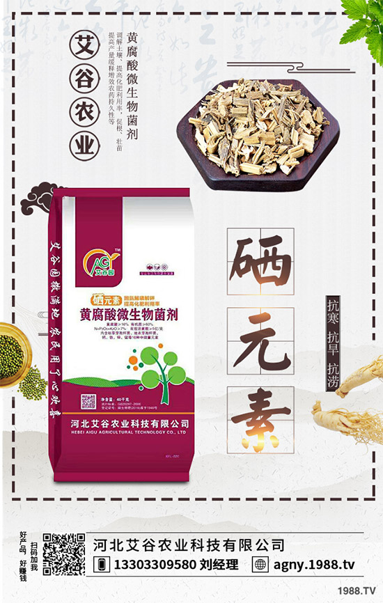 黑番茄該怎樣種植？如何管理才能獲得高產(chǎn)？黑番茄高產(chǎn)種植管理技術(shù)！