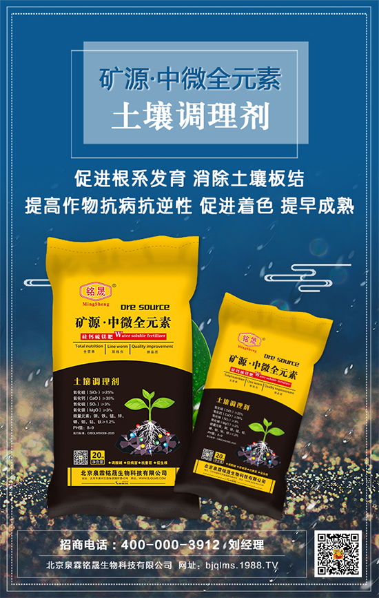 黑芝麻什么時間種植？黑芝麻栽培技術要點！