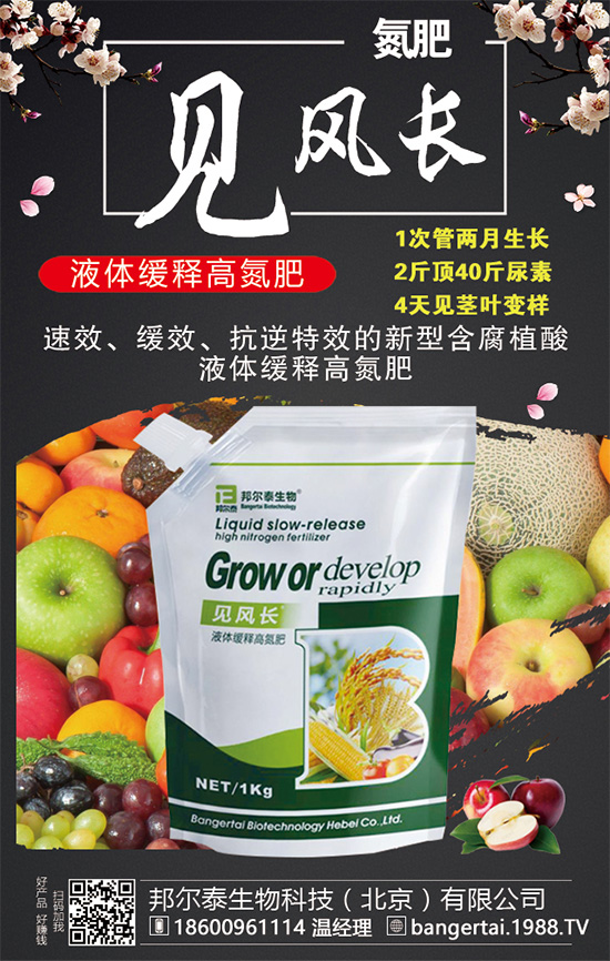 金錢草有哪些生長習性？金錢草怎么種植？