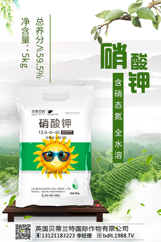 番茄空心果是怎么回事？如何做可以避免番茄空心？